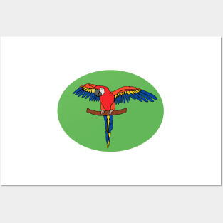 Abstract Scarlet Macaw Parrot Design Posters and Art